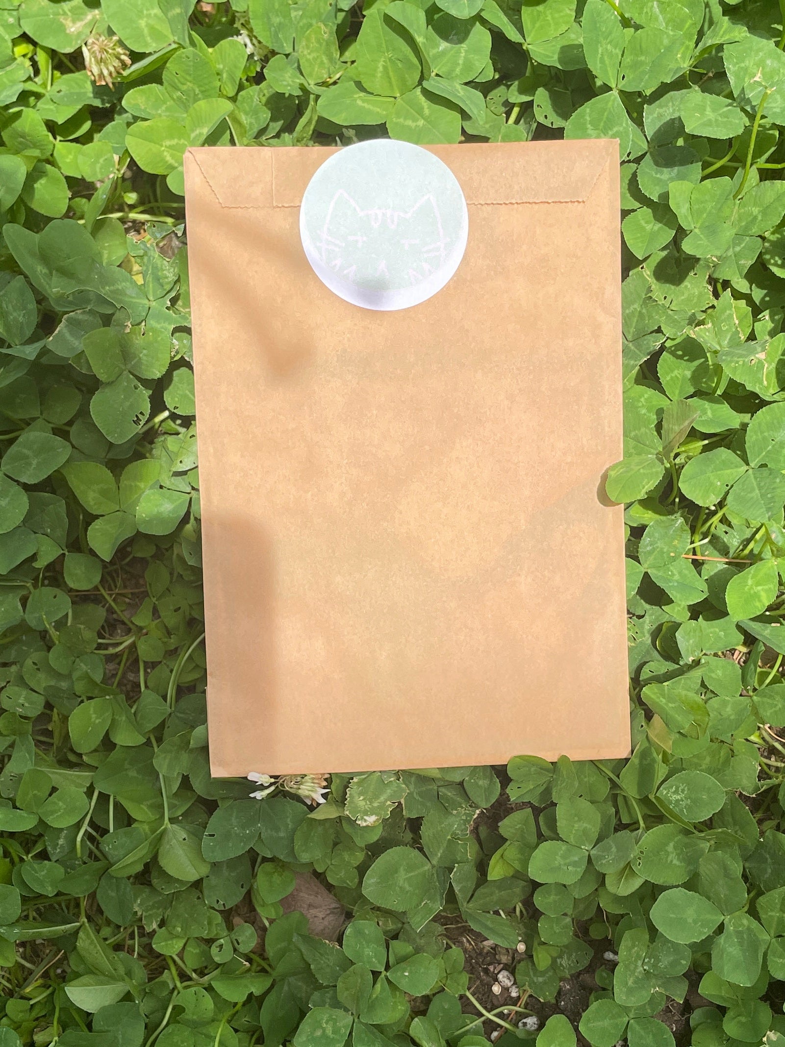 Large Oopsie Bag