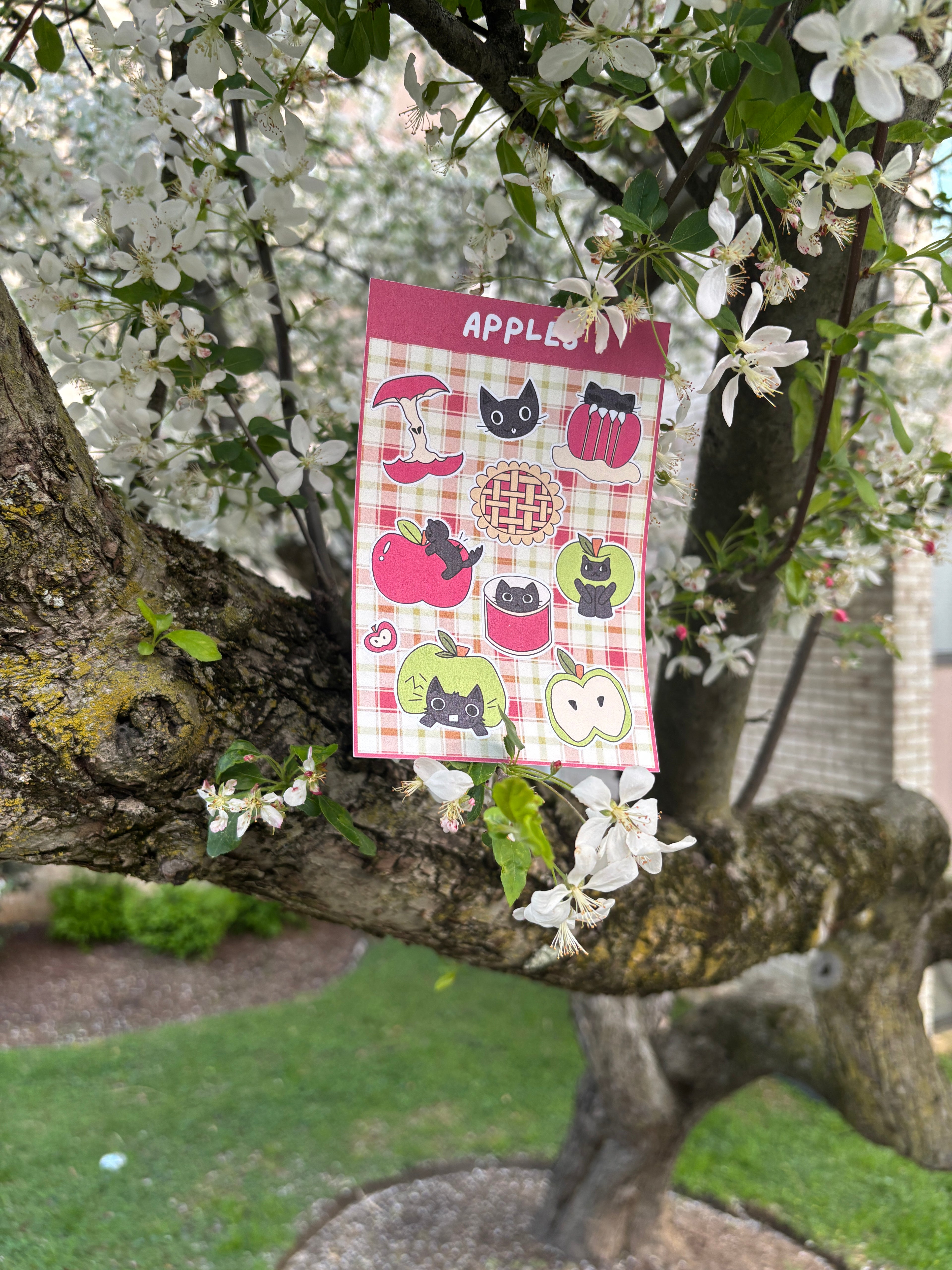 Apples Sticker Sheet